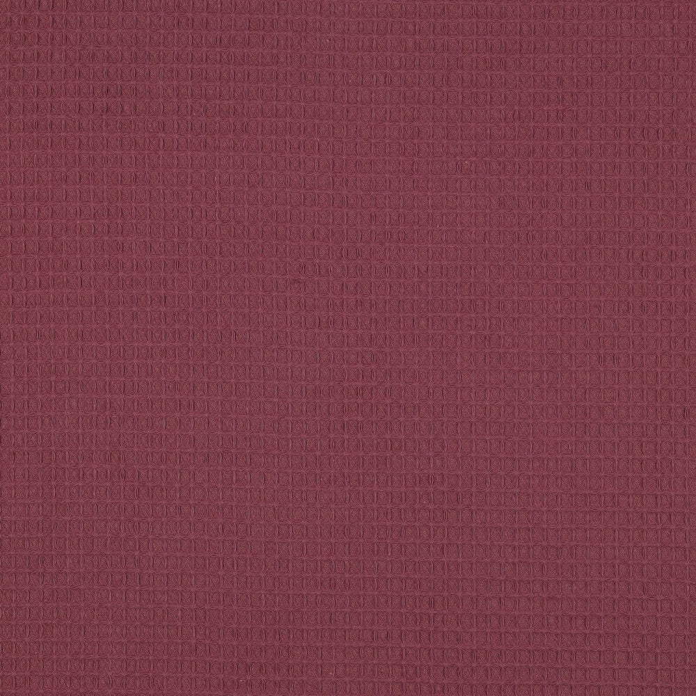 Wafelkatoen berry
