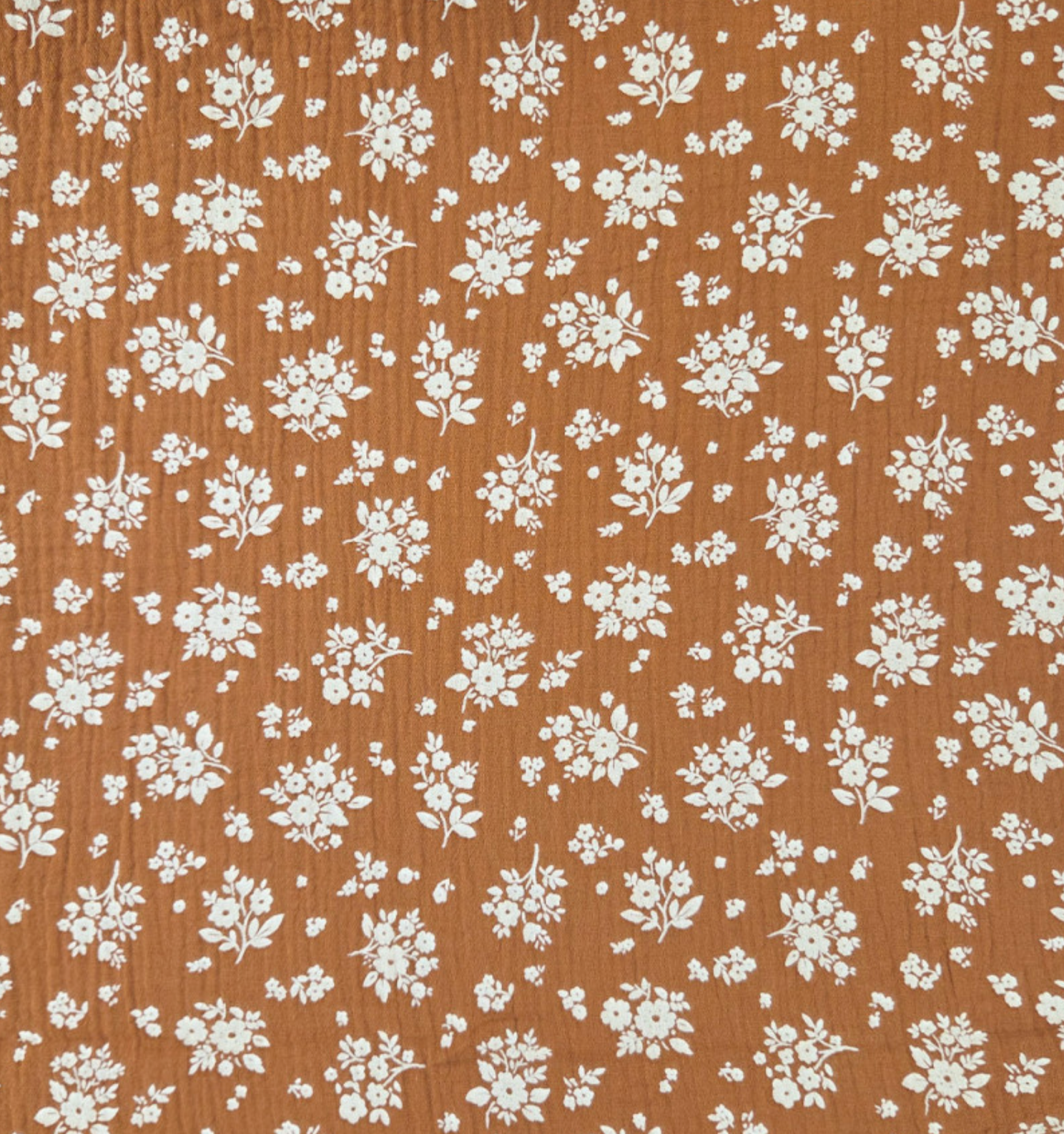 Hydrofiel bloemen osma squirrel