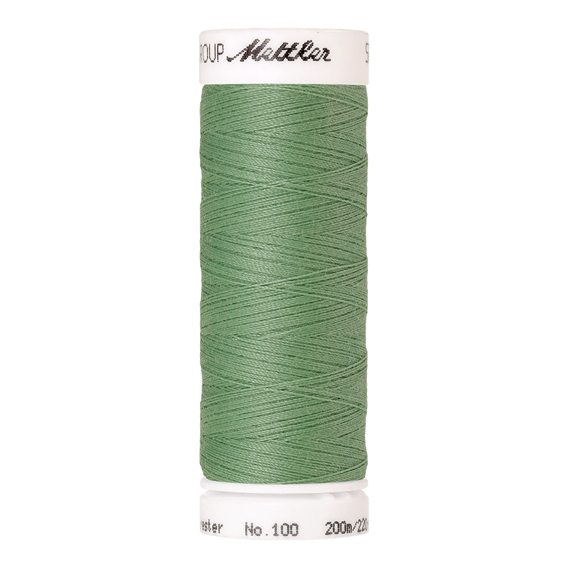 Amann Mettler – Seralon naaigaren 200m - 0129 Vanilla