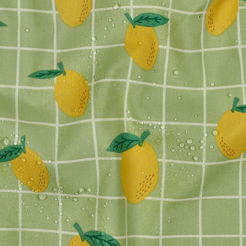 Coated canvas fruit/ruiten groen