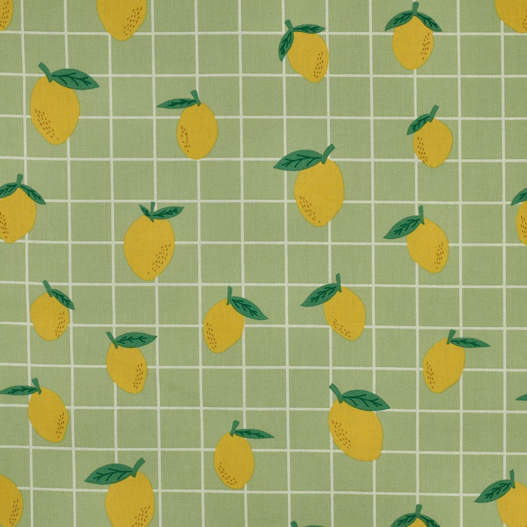 Coated canvas fruit/ruiten groen