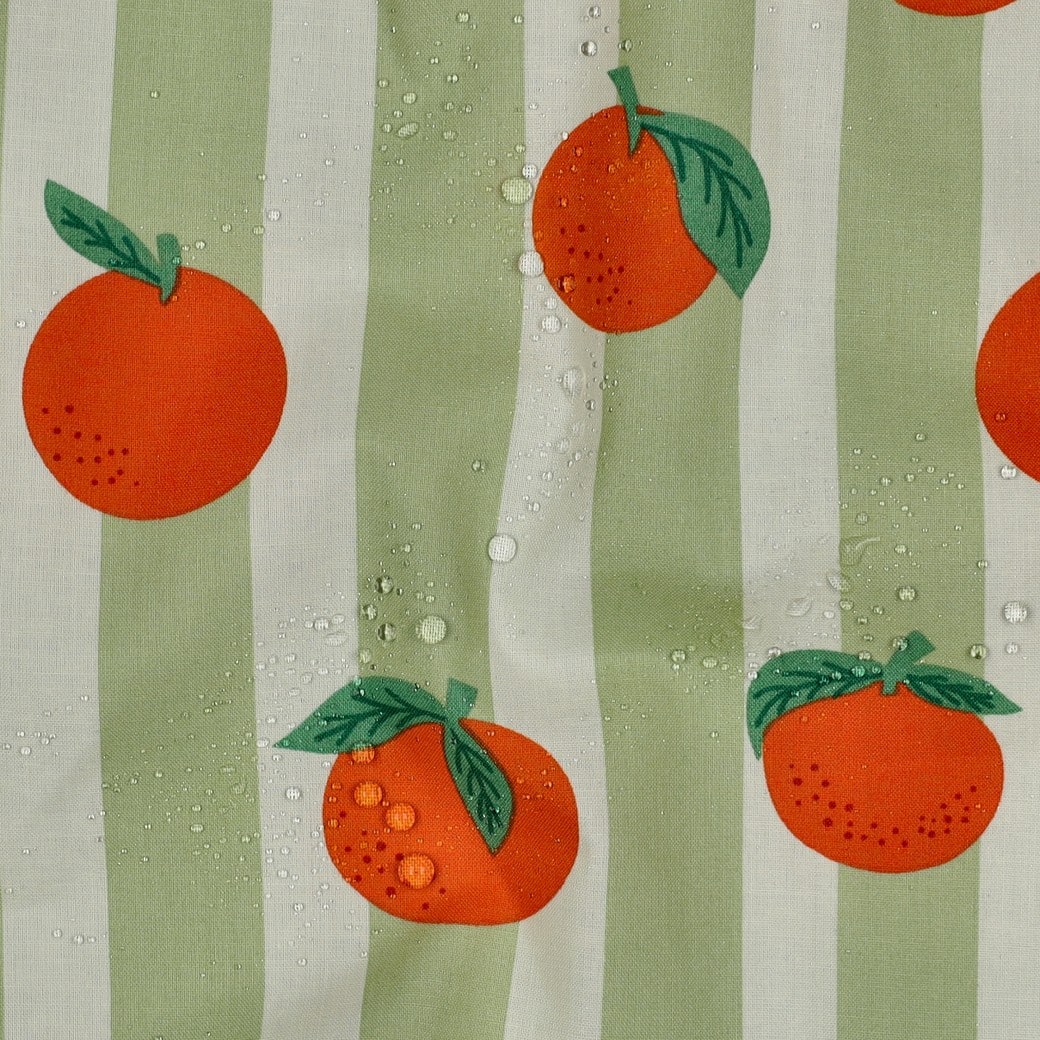 Coated canvas fruit/strepen groen