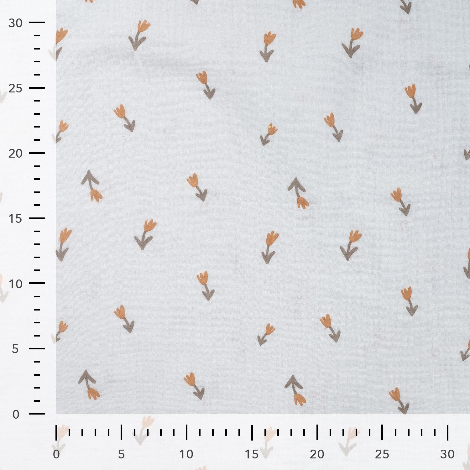 Hydrofiel tulpen offwhite