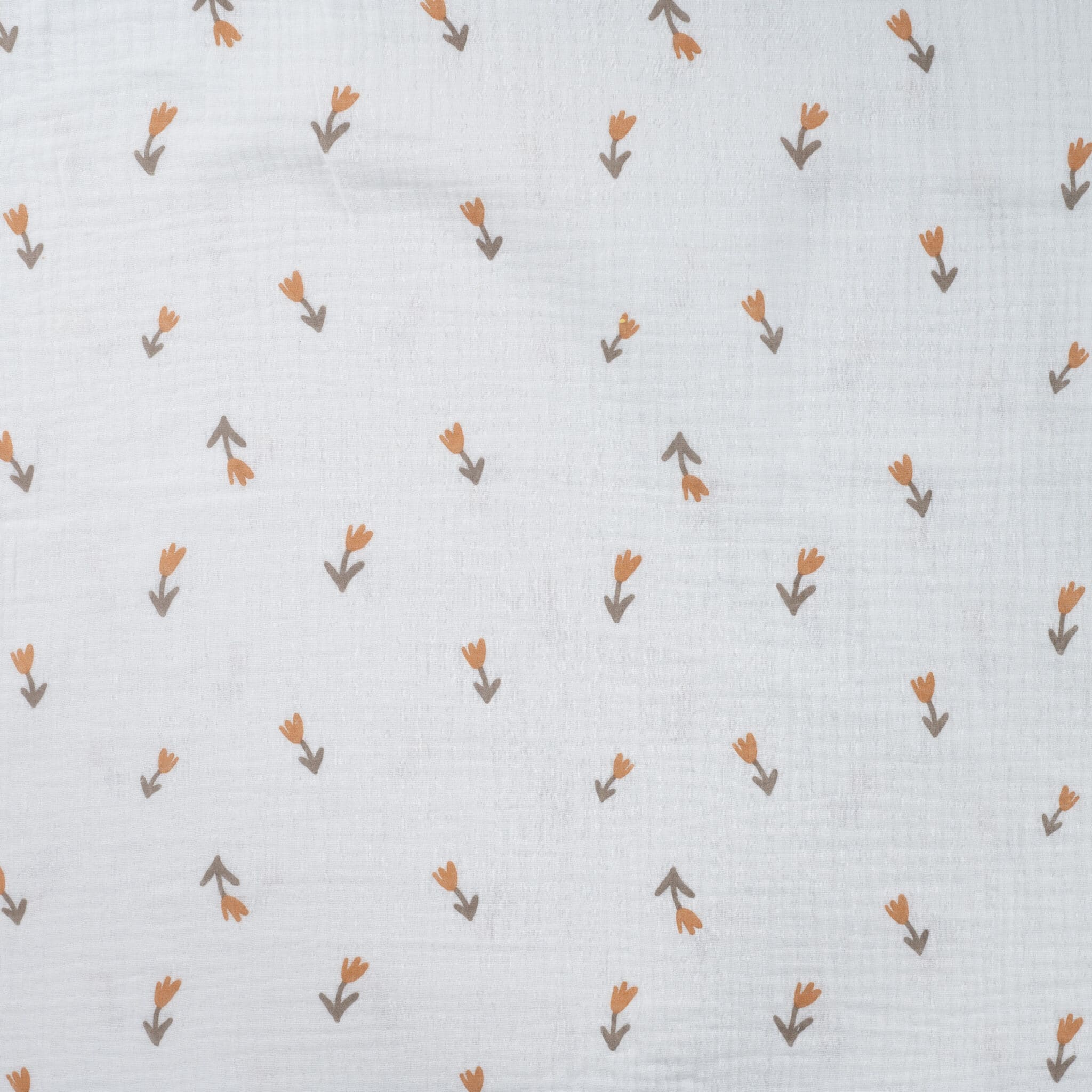 Hydrofiel tulpen offwhite