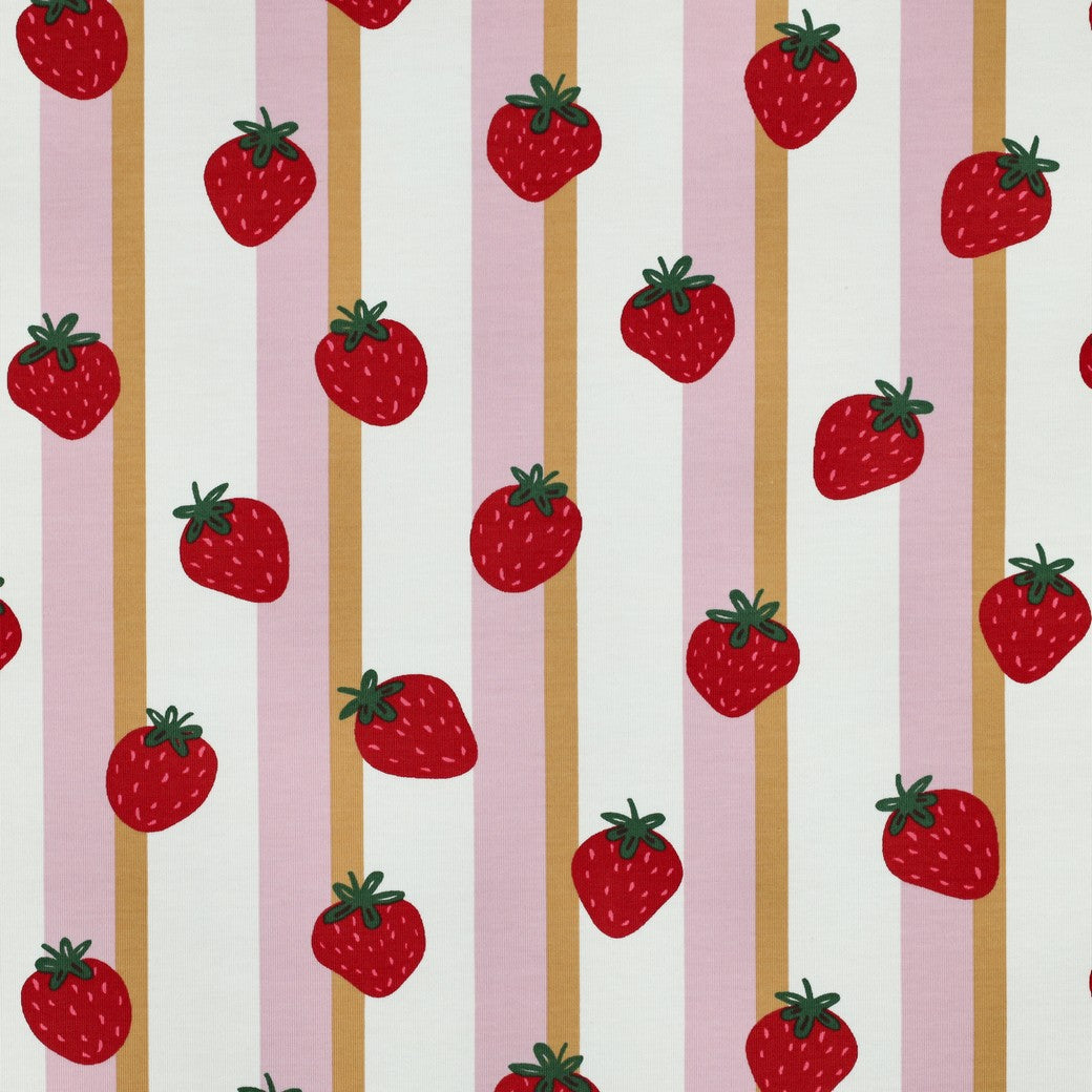 Jersey aardbeien/strepen