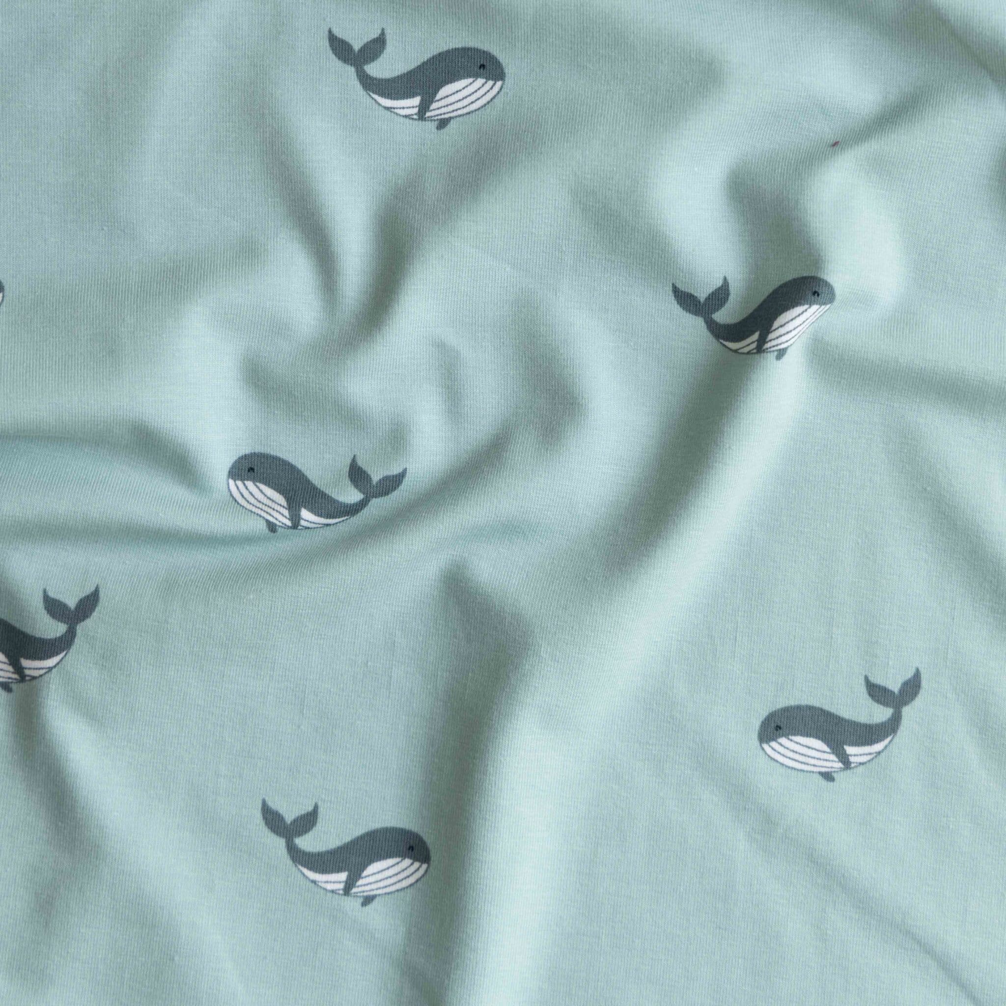 Jersey walvissen blauw