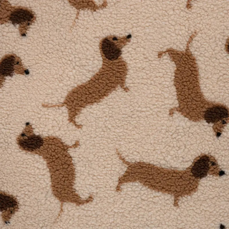 Teddy teckels beige