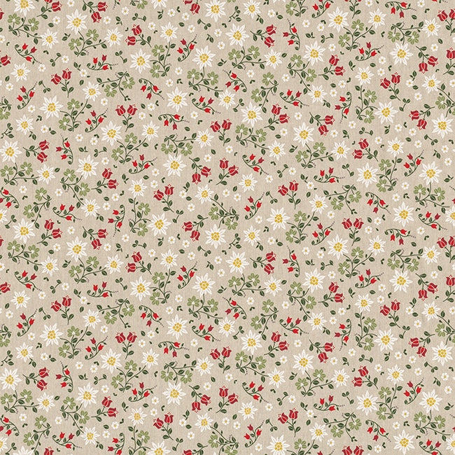 Linnenlook edelweiss field