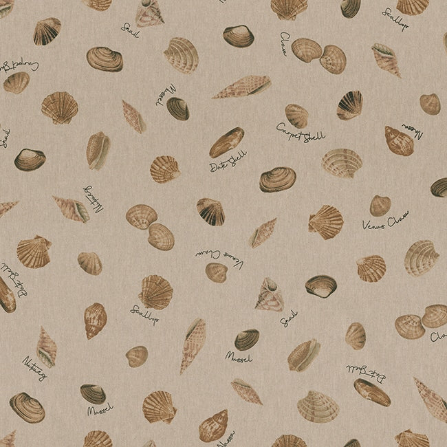 Linnenlook sea shell path