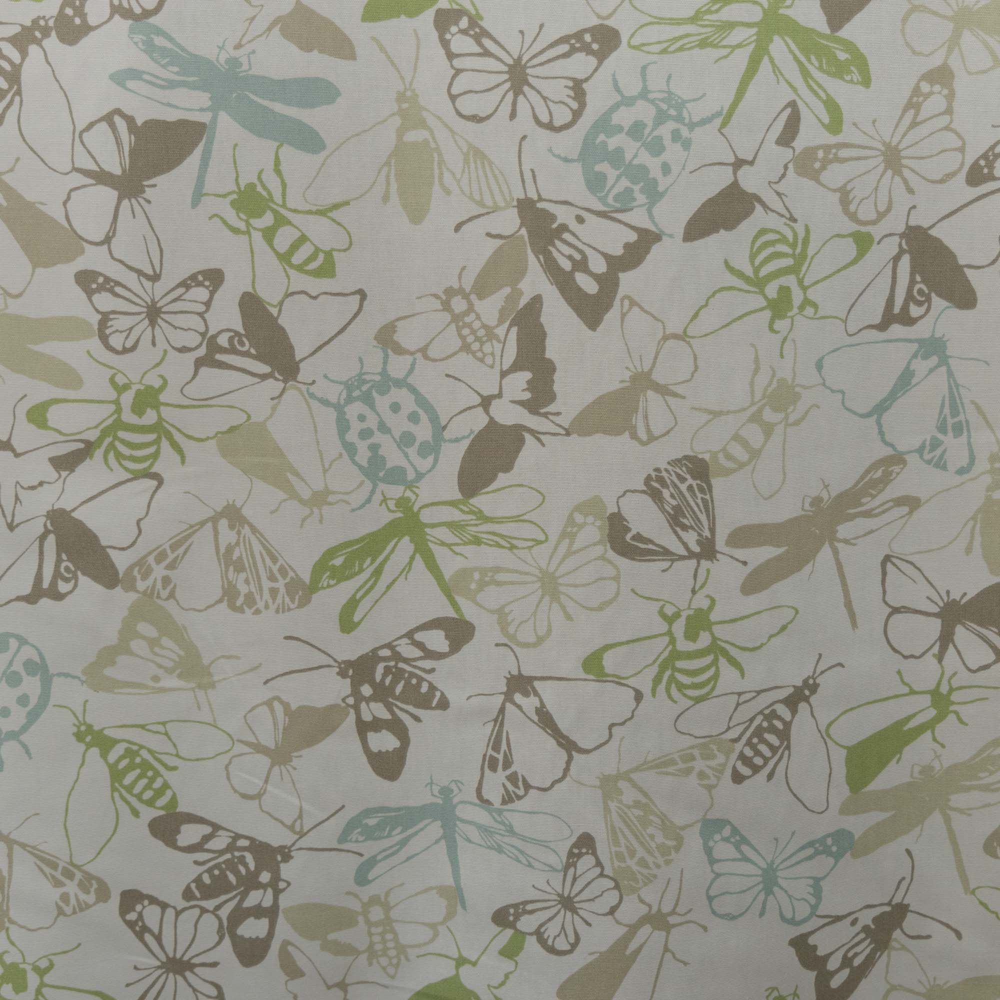 PT katoen insecten